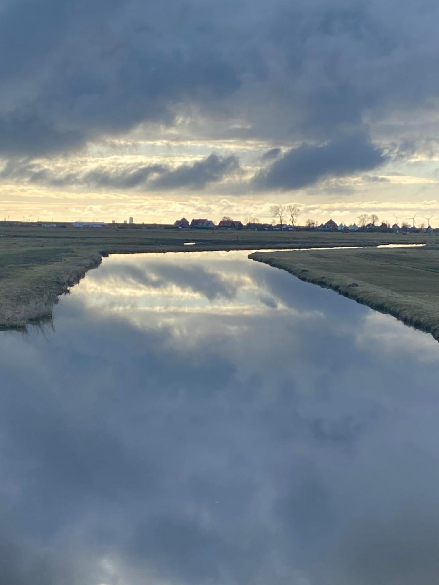 Amsterdam Garden Studio Uitdam Dış mekan fotoğraf